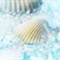 背景G_seasons_summer_HS053_22