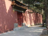 DSC01325