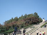 DSC01120