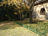 DSC01195