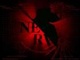 NERV