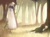 兰斯洛特-谜之黑骑士资料