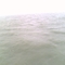 IMG0409A