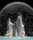 Traveler-218-at-Night-454