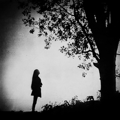 寂寞如歌 够不本根力象想的界世个这 电影