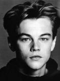 leo11