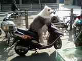 pics_herun<wbr/>dong_12280<wbr/>18048