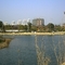 110959ad262