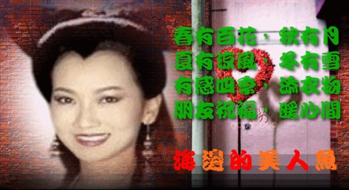 128X128_副本_conew2