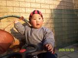 夕阳西下，杨子兴在后院~