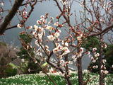 img_4056_r
