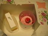 Cakes of Today1