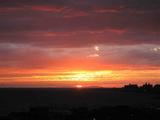IMG_0721_r