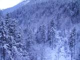 gegenueber Neuschwanstein