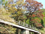 DSCF1009
