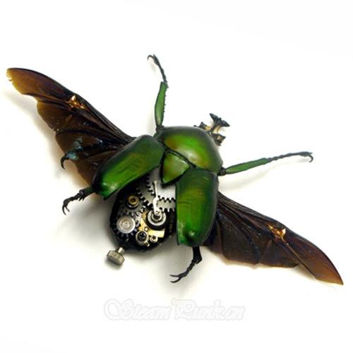 【图片】蒸汽朋克昆虫 哥特goth 电影