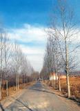 回家的路3