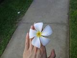 DSC01827