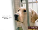 2004851546