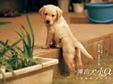 20048511326