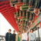 image19pd2