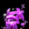 花儿