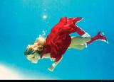 large_2peh_1792f198172