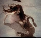 large_ohlG_1776l198172