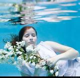 large_QVbz_1730i198172