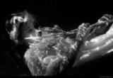 large_Owqr_1706n198172