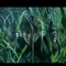 未命名1
