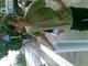 20080714