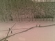 校园雪景5