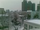 校园雪景6