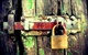 captures_the_beauty_of_daily_life_Rusty_
