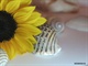 776f57390a24ef0695ddd86d