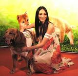 吴佩慈