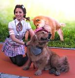 李倩蓉与她的黄金猎犬