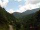 DSC03139