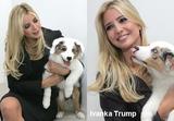 Ivanka3