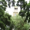 Church 04 in tree