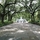 Savannah