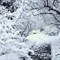 雪