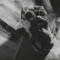 rou