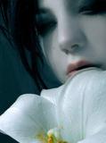 掩
