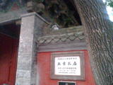 武国平