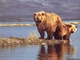 ours