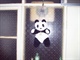 PIC_0625——2