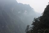 IMG_1988