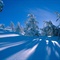 雪景